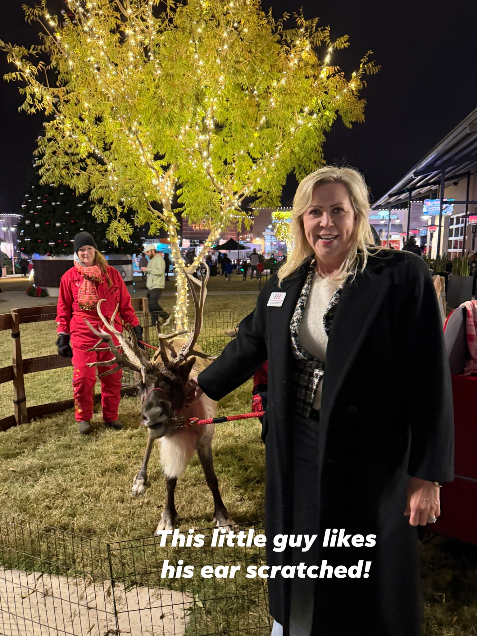Valerie Roehrs campaigning in Denton County Precinct 4 - event 11